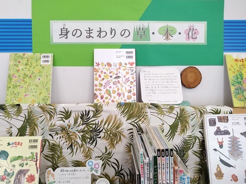 児童展示『身のまわりの草・木・花』
