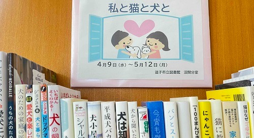 沼間展示『私と猫と犬と』
